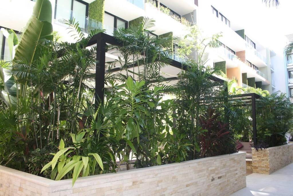 Your Exclusive Studio In The City - Top Amenities & Services For Free!! Playa del Carmen Exterior photo